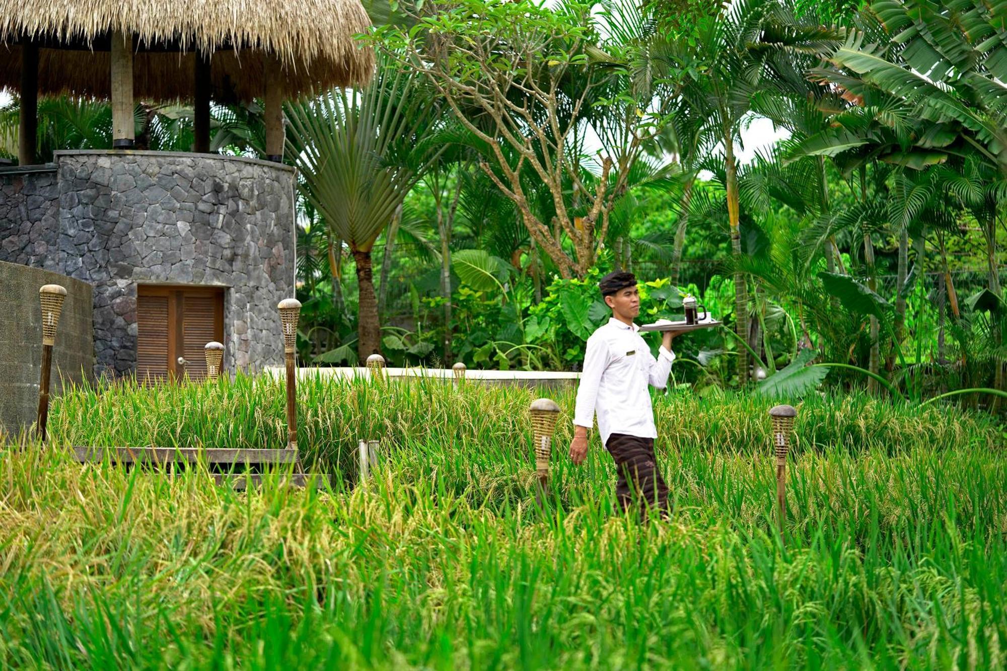 Lalasa Villas Canggu Экстерьер фото